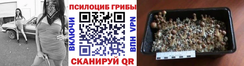 Галлюциногенные грибы Magic Shrooms что такое наркотик Кувшиново